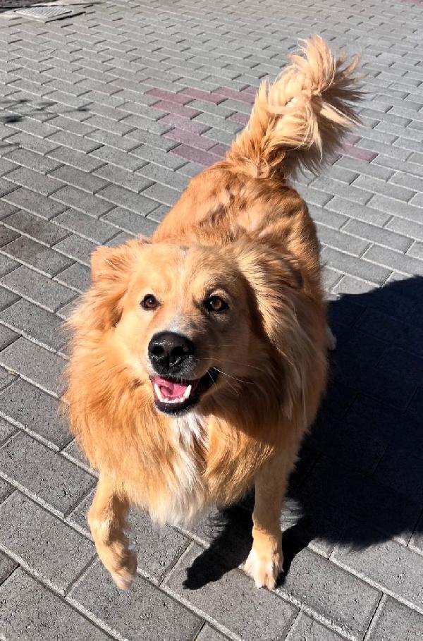 DIOR cerca casa Foto 3